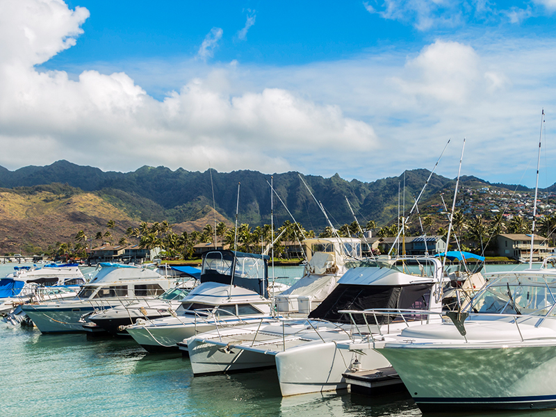 Discover Hawaii Kai: A Comprehensive Neighborhood Guide